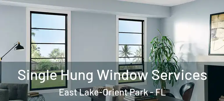 Single Hung Window Services East Lake-Orient Park - FL
