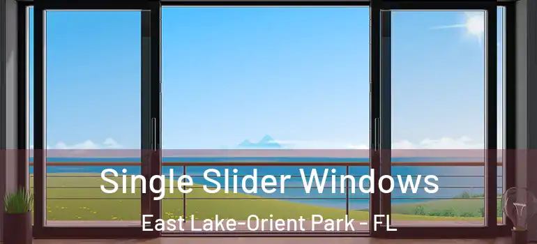 Single Slider Windows East Lake-Orient Park - FL