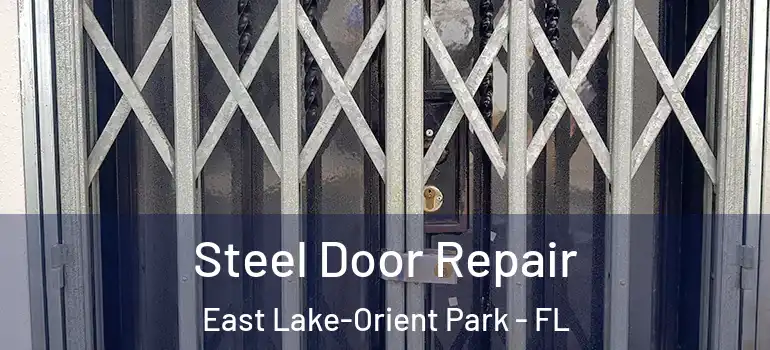 Steel Door Repair East Lake-Orient Park - FL