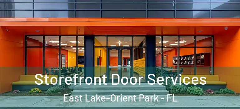 Storefront Door Services East Lake-Orient Park - FL