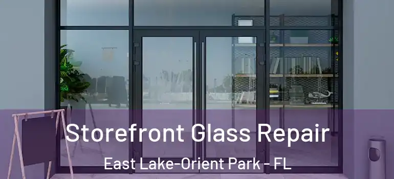 Storefront Glass Repair East Lake-Orient Park - FL
