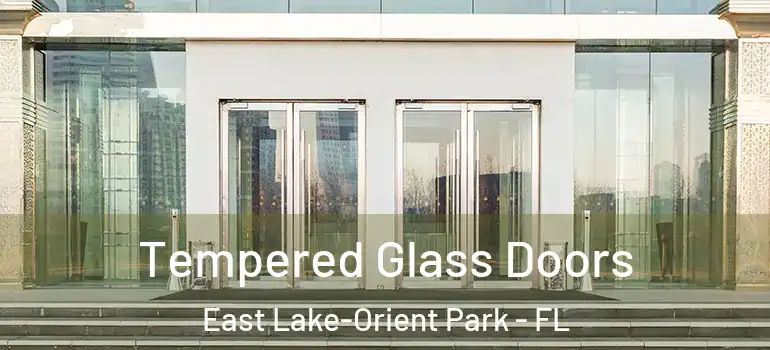 Tempered Glass Doors East Lake-Orient Park - FL