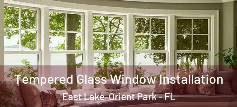Tempered Glass Window Installation East Lake-Orient Park - FL