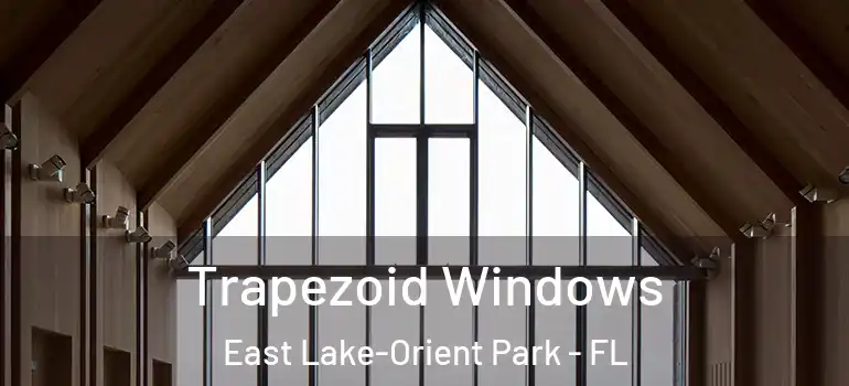 Trapezoid Windows East Lake-Orient Park - FL