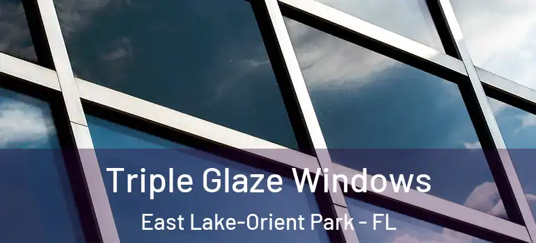 Triple Glaze Windows East Lake-Orient Park - FL