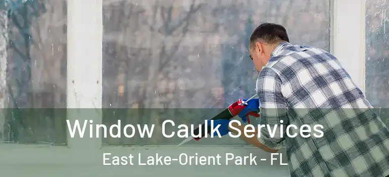 Window Caulk Services East Lake-Orient Park - FL