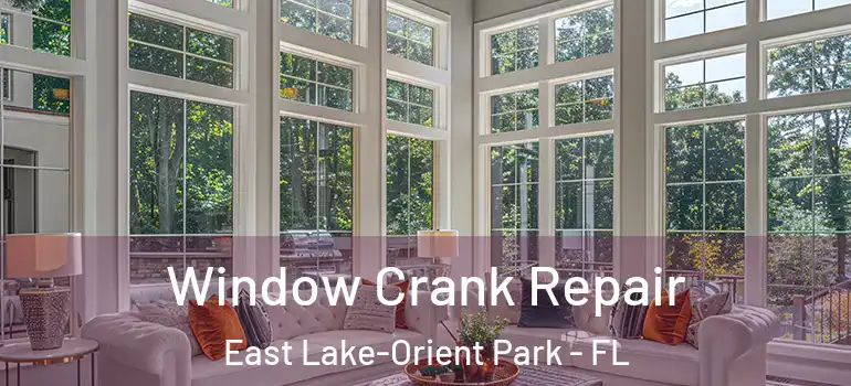 Window Crank Repair East Lake-Orient Park - FL