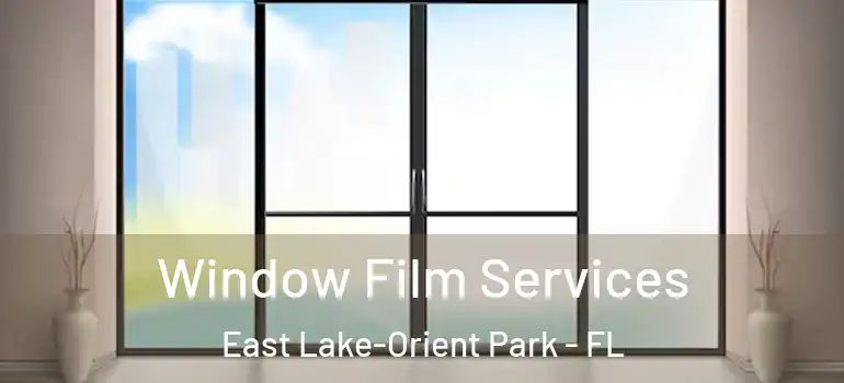 Window Film Services East Lake-Orient Park - FL
