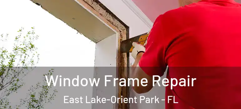 Window Frame Repair East Lake-Orient Park - FL