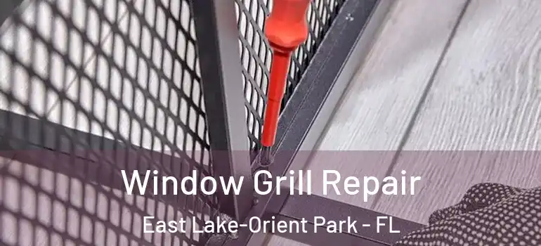 Window Grill Repair East Lake-Orient Park - FL