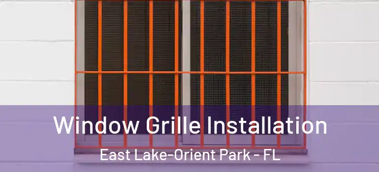 Window Grille Installation East Lake-Orient Park - FL