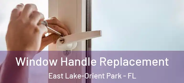 Window Handle Replacement East Lake-Orient Park - FL