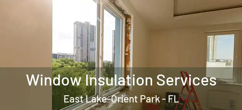 Window Insulation Services East Lake-Orient Park - FL