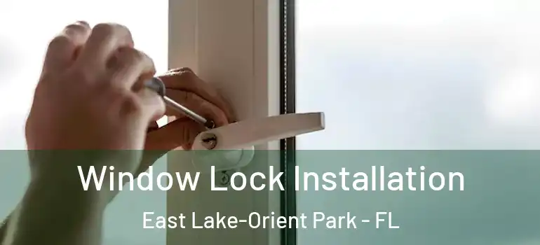 Window Lock Installation East Lake-Orient Park - FL