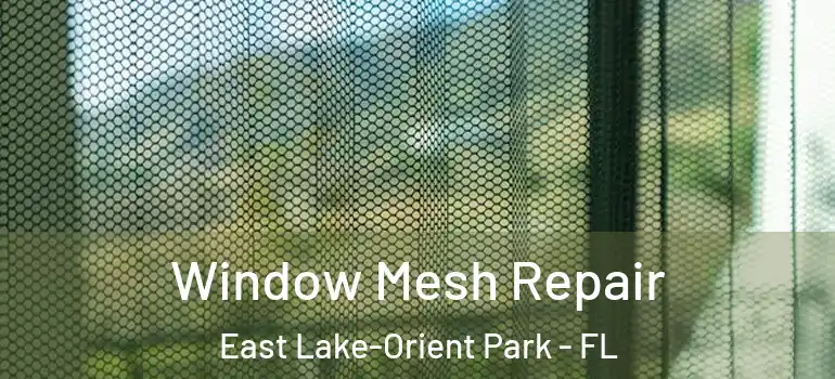 Window Mesh Repair East Lake-Orient Park - FL