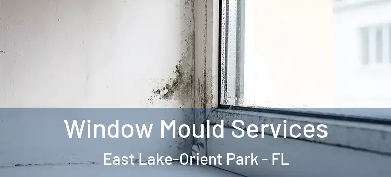 Window Mould Services East Lake-Orient Park - FL