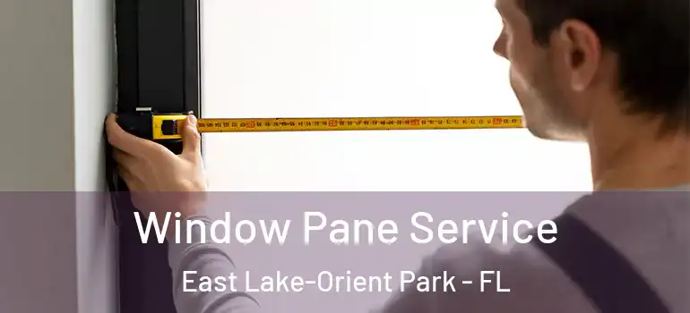 Window Pane Service East Lake-Orient Park - FL