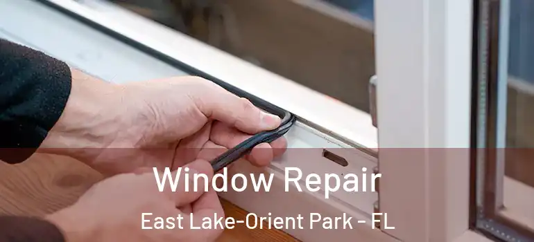 Window Repair East Lake-Orient Park - FL