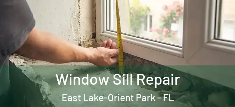 Window Sill Repair East Lake-Orient Park - FL
