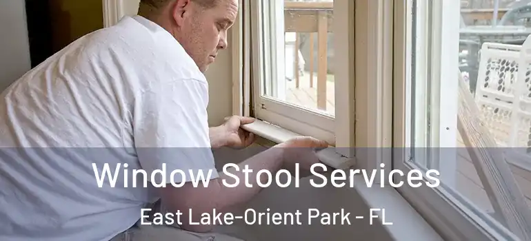 Window Stool Services East Lake-Orient Park - FL