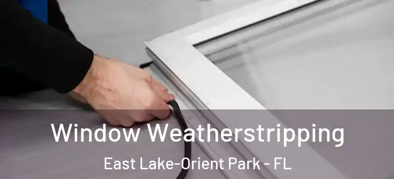 Window Weatherstripping East Lake-Orient Park - FL