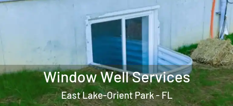 Window Well Services East Lake-Orient Park - FL