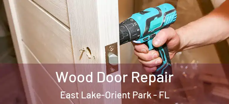 Wood Door Repair East Lake-Orient Park - FL