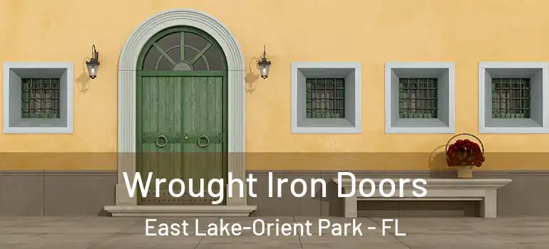 Wrought Iron Doors East Lake-Orient Park - FL